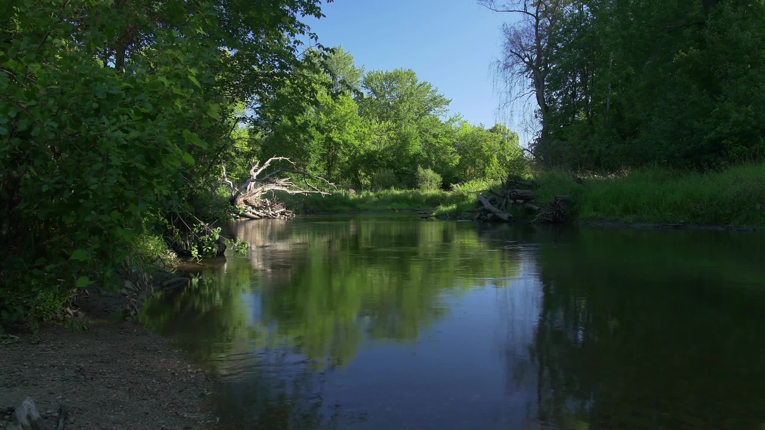 PC Desktop Landscape Scene Morninglight02 4k Live Wallpaper