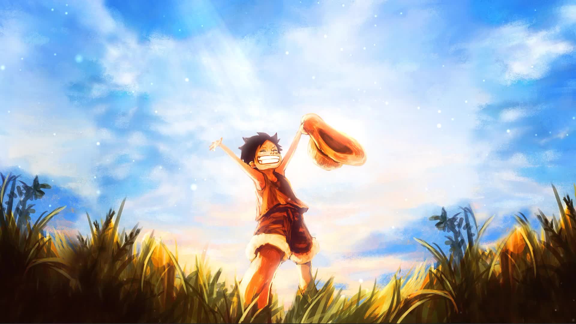 Luffy One Piece Anime Live Wallpaper For PC