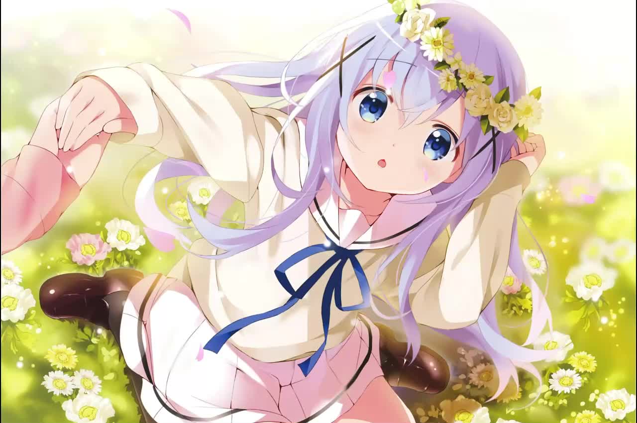 Chino Kafuu Gochuumon Wa Usagi Desu Ka HD Live Wallpaper For PC