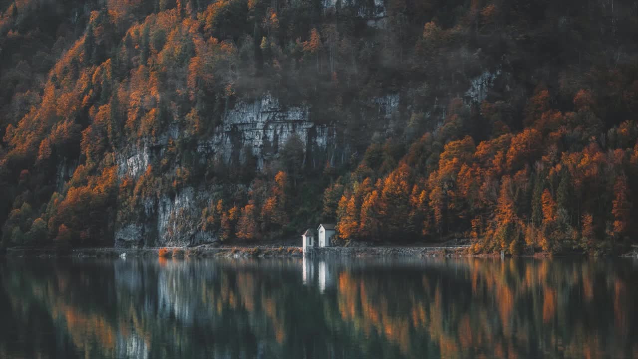 Nepaug State Forest HD Live Wallpaper For PC