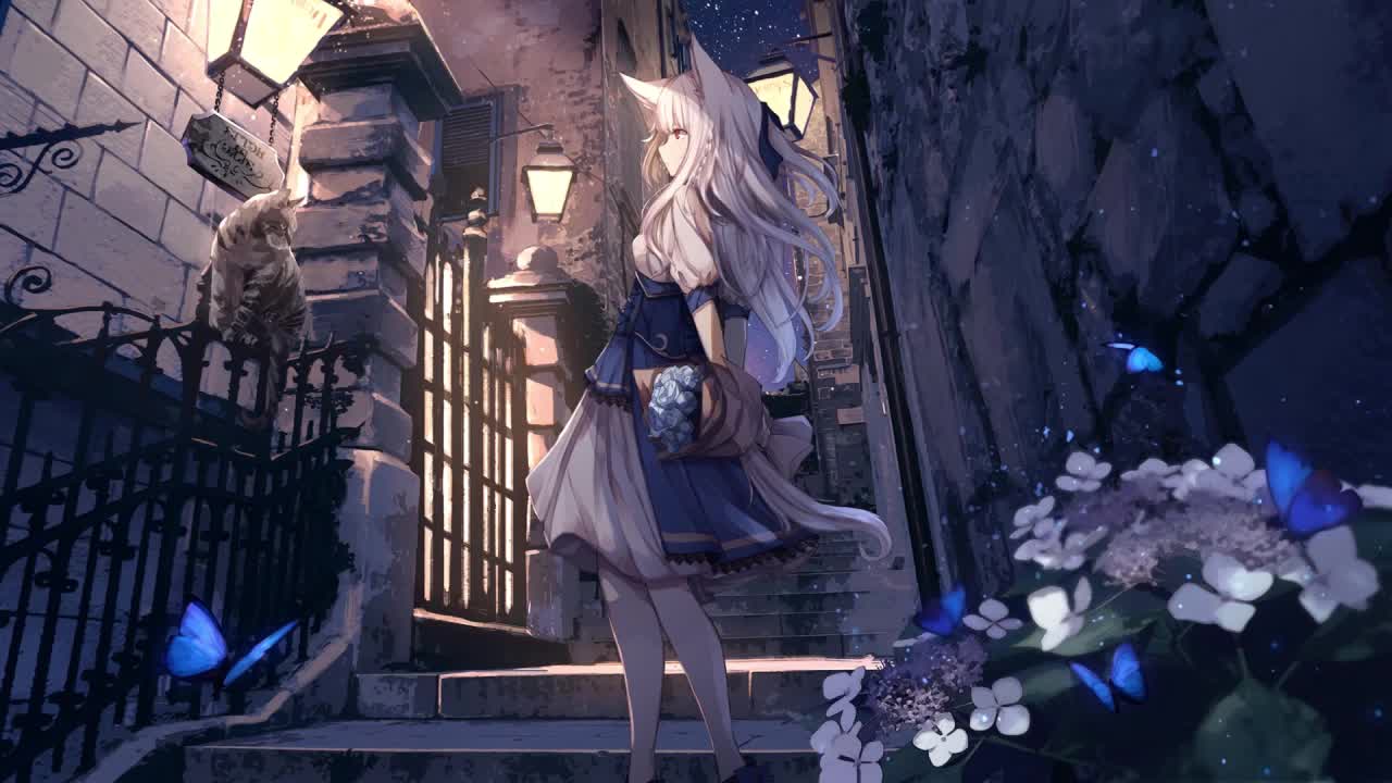 Night Flowers And Butterflies HD Live Wallpaper For PC