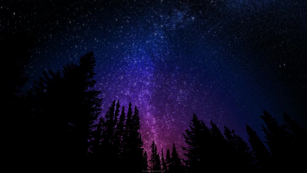 Midnight Forest Beneath The Milky Way HD Live Wallpaper For PC