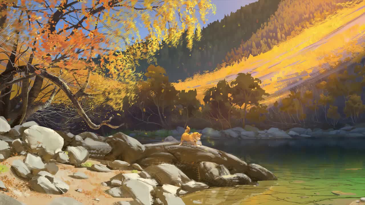 Shiba Inu Playing At The Riverside In The Morning HD Live Wallpaper For PC