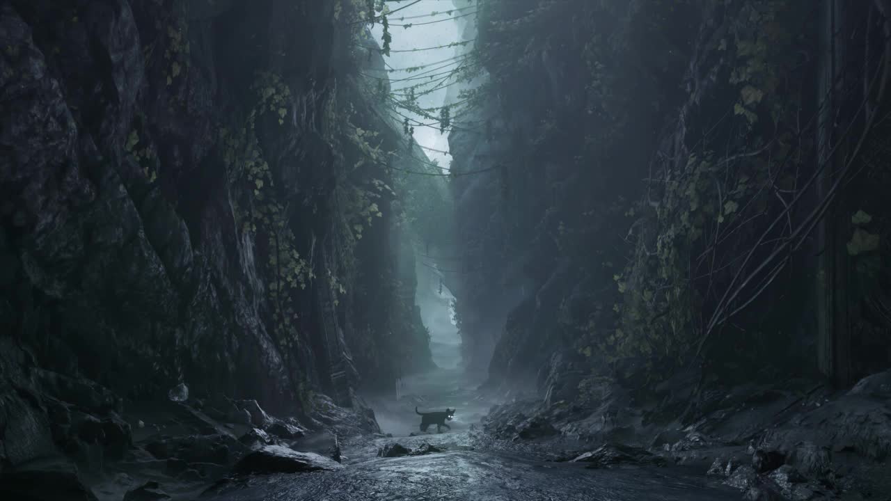 The Black Cat Adventure HD Live Wallpaper For PC