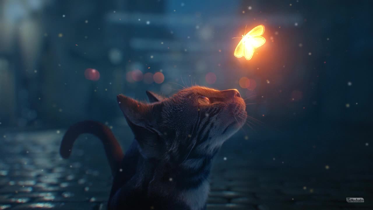 Cat Looking At Glowing Butterfly HD Live Wallpaper For PC
