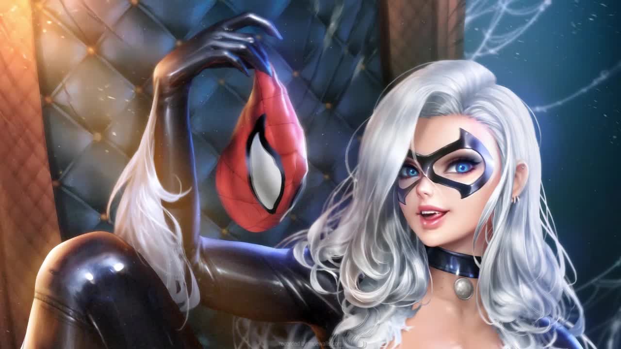 Black Cat Playing With Spider Mans Mask HD Live Wallpaper For PC