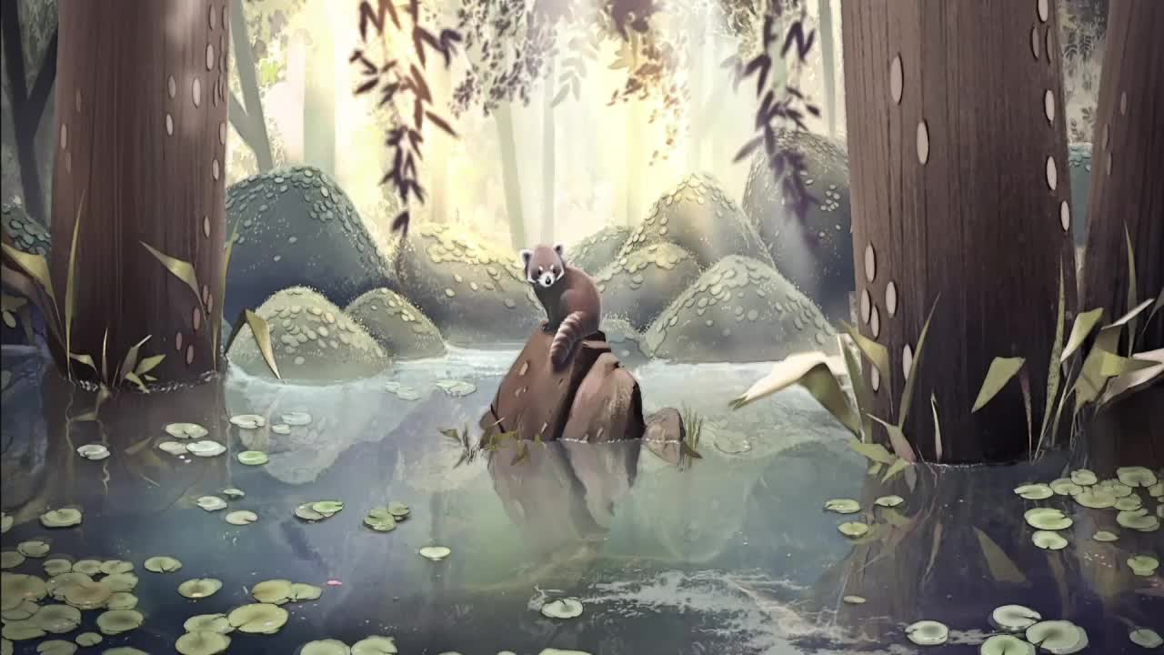 Raccoon On Rock In Middle Of Lake HD Live Wallpaper For PC