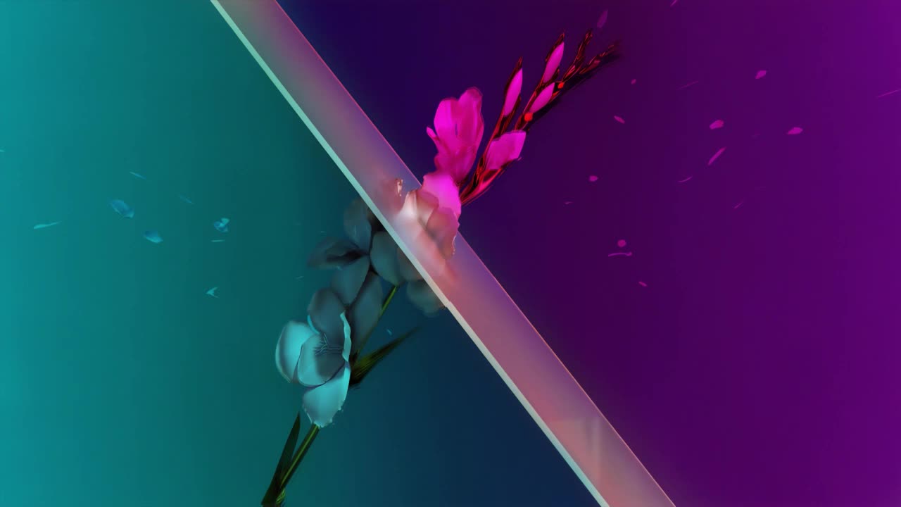 Sakura HD Live Wallpaper For PC