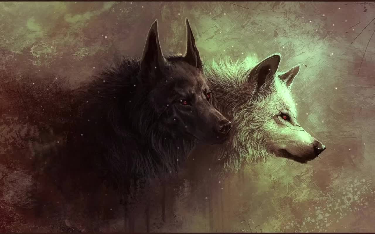 Black And White Wolf HD Live Wallpaper For PC