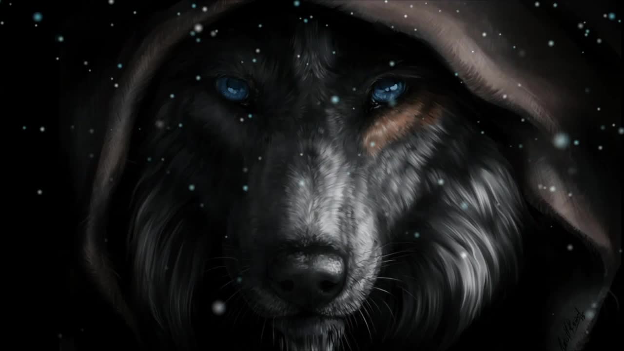 Black Wolf Face HD Live Wallpaper For PC