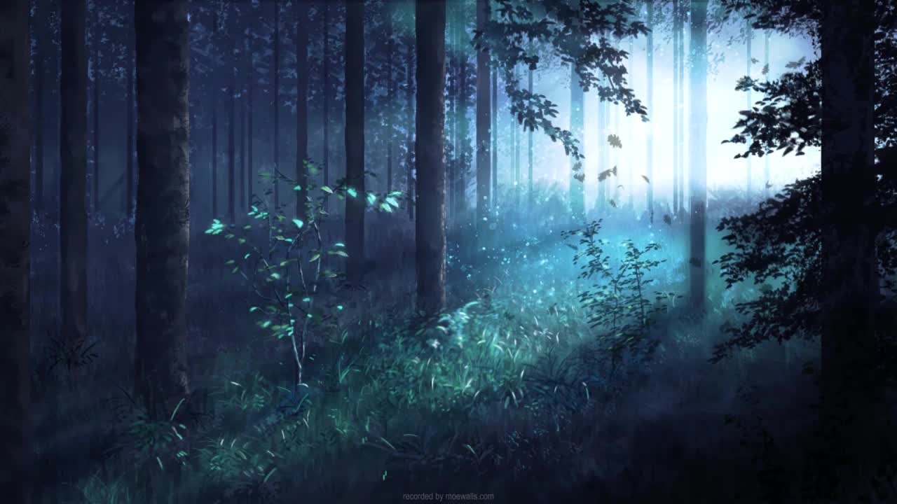 Morning In The Forest HD Live Wallpaper For PC live wallpaper