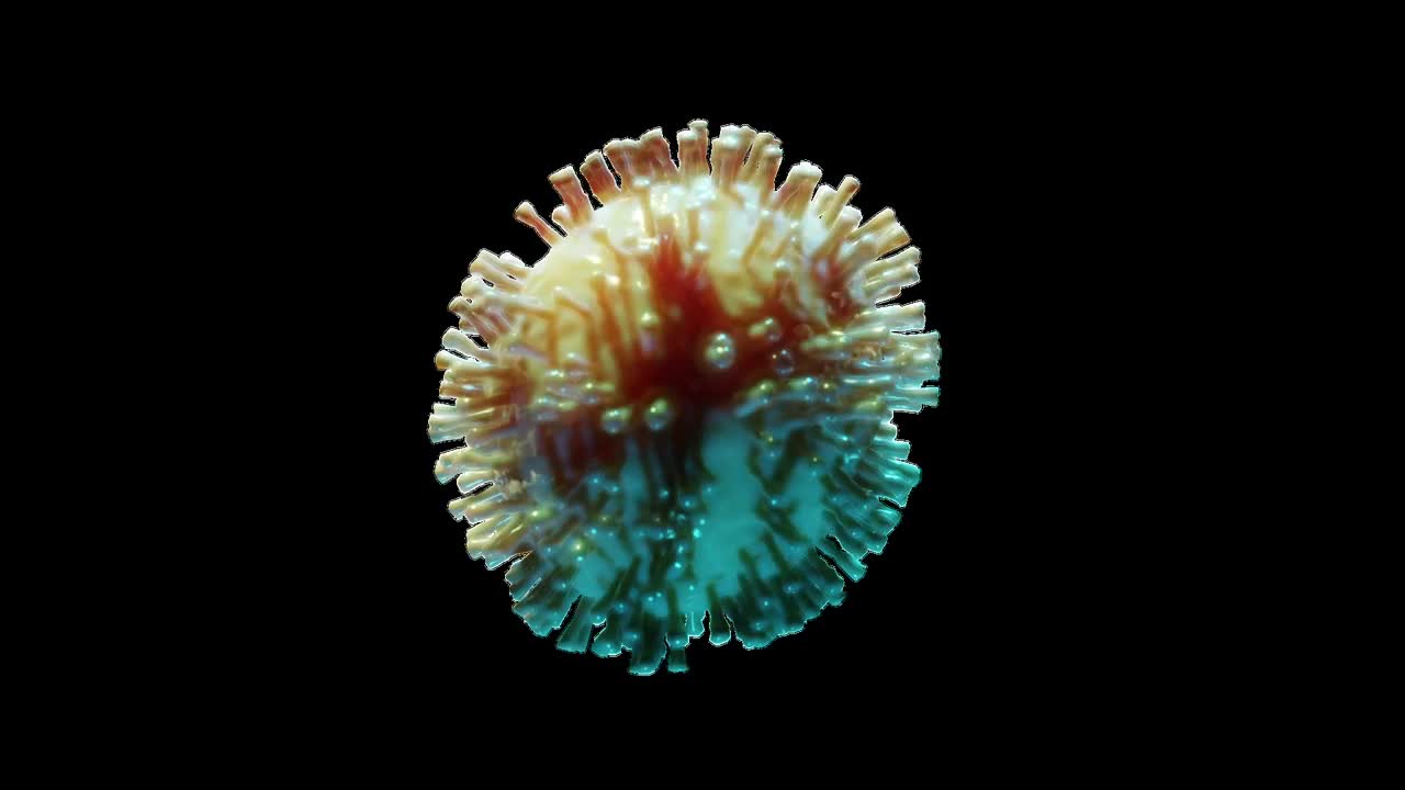 Stock Video 3d animated coronavirus isolated on black backgroun PC Live Wallpaper