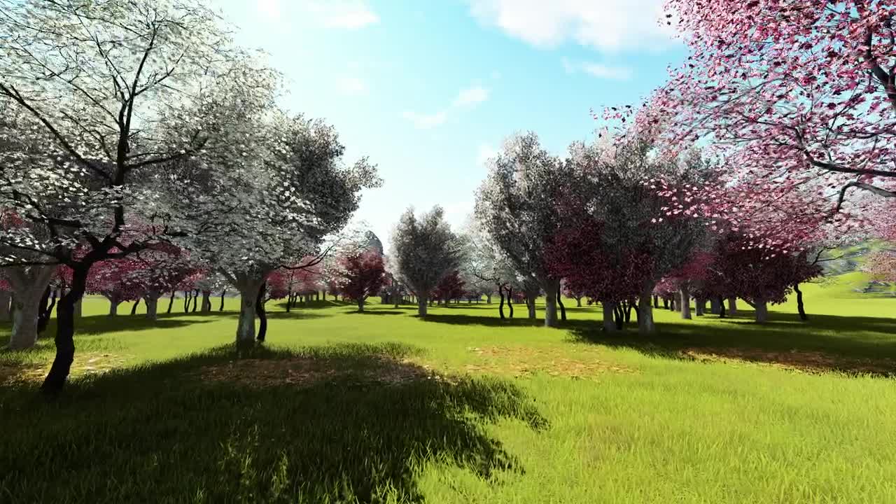 Stock Video 3d animation of a garden in spring PC Live Wallpaper