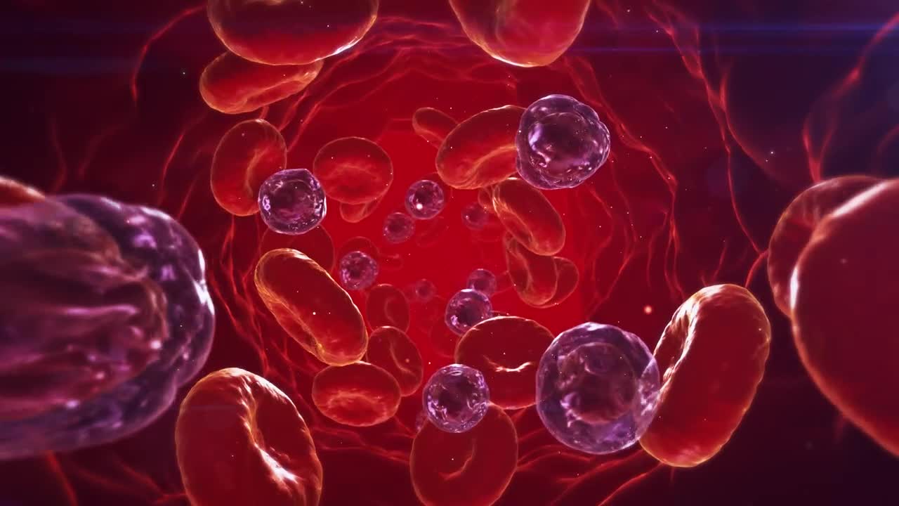 Stock Video 3d render of a blood stream PC Live Wallpaper