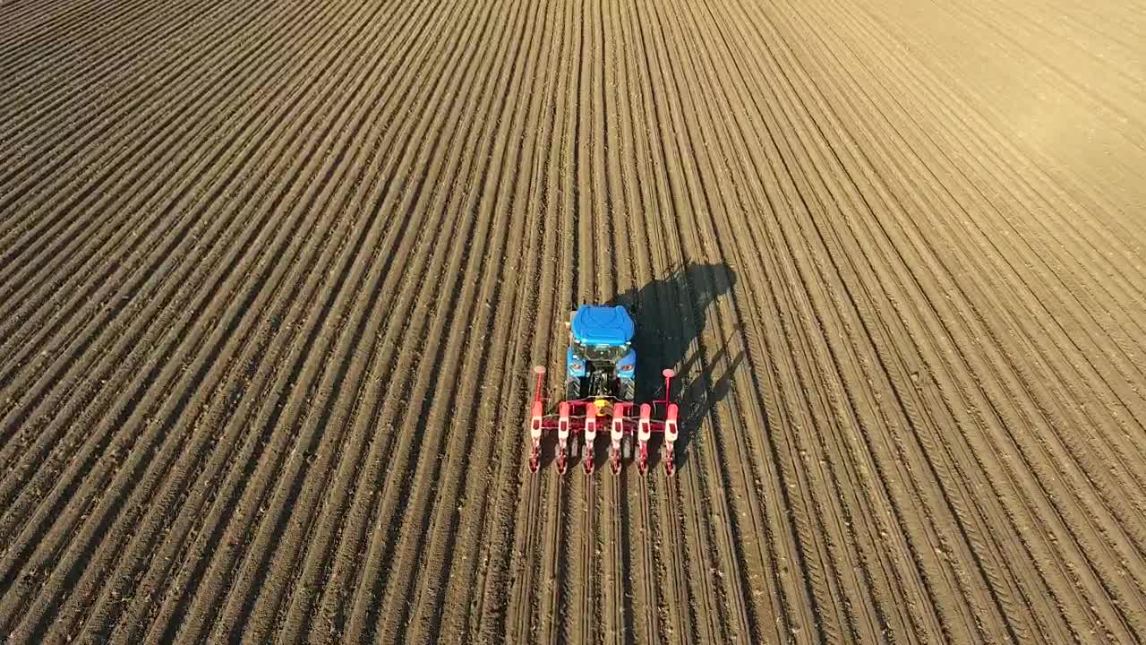 Stock Video A Blue Tractor Working On An Agricultural Field Live Wallpaper for PC