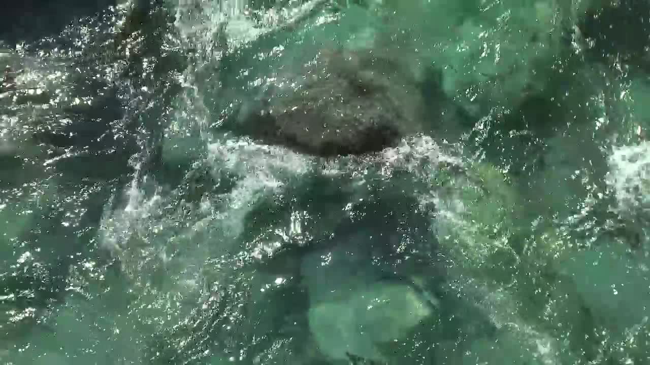 Stock Video A Clean And Clear Stream Of Water Live Wallpaper for PC