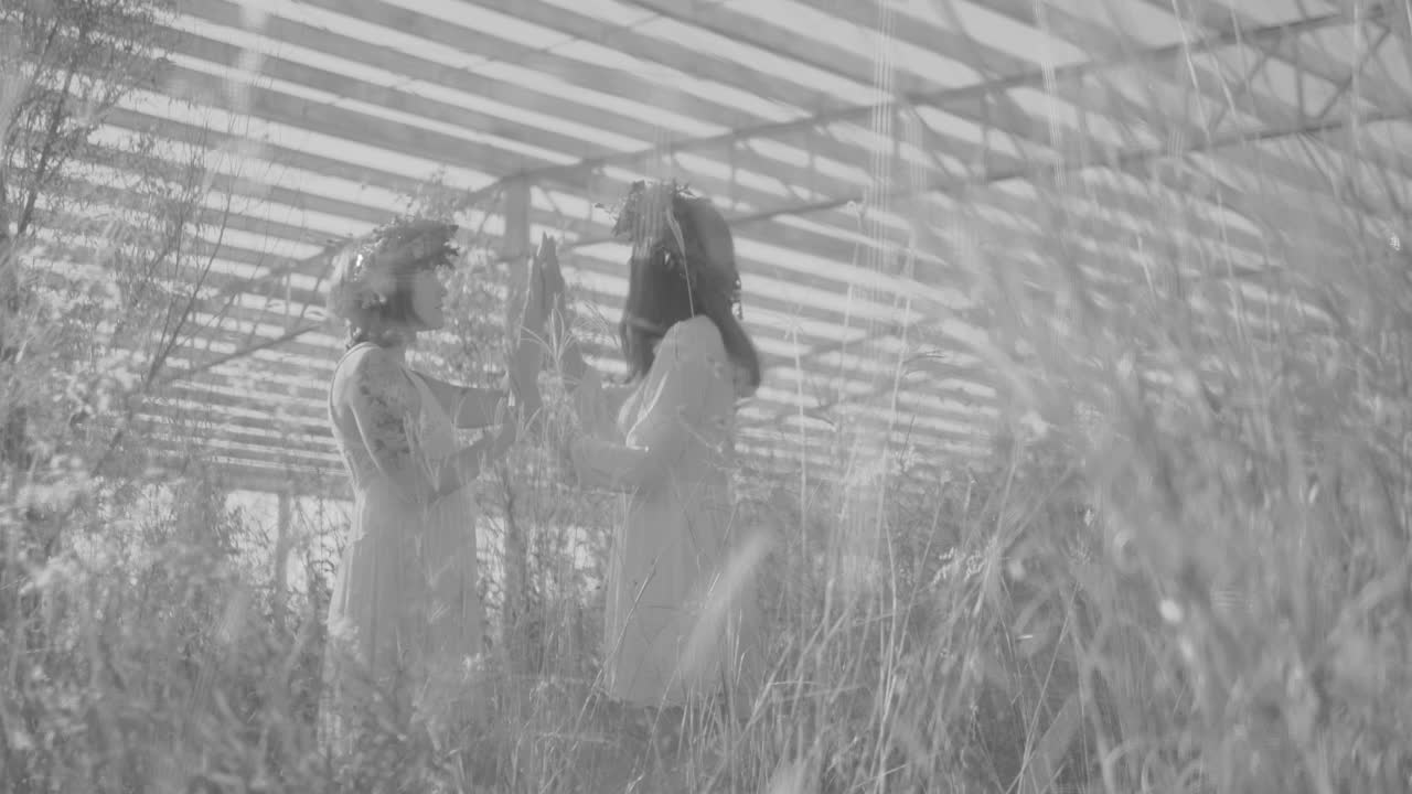 Stock Video A Couple Of Women With Their Hands Together Performing A Live Wallpaper for PC