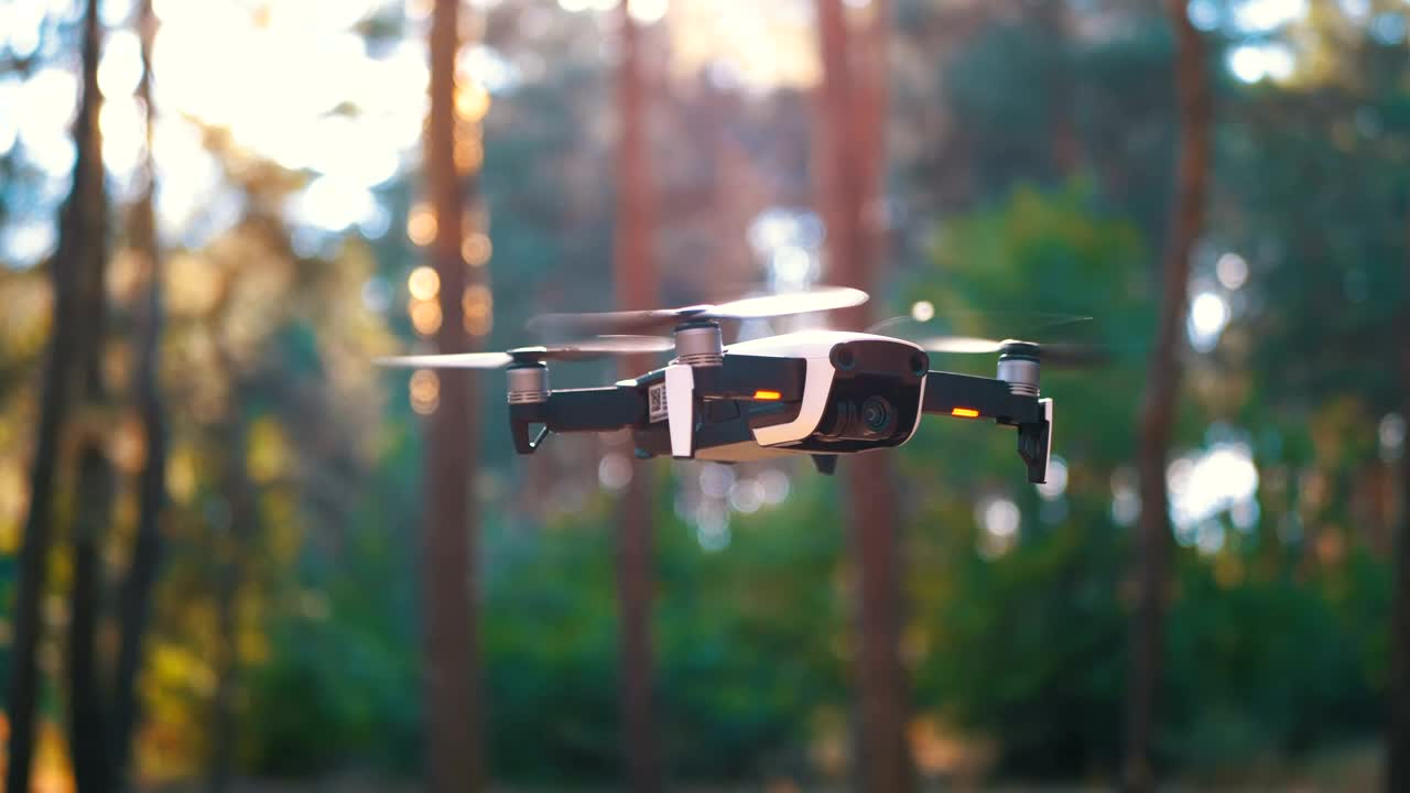 Stock Video A Drone Hovering On A Sunny Day In The Woods Live Wallpaper for PC