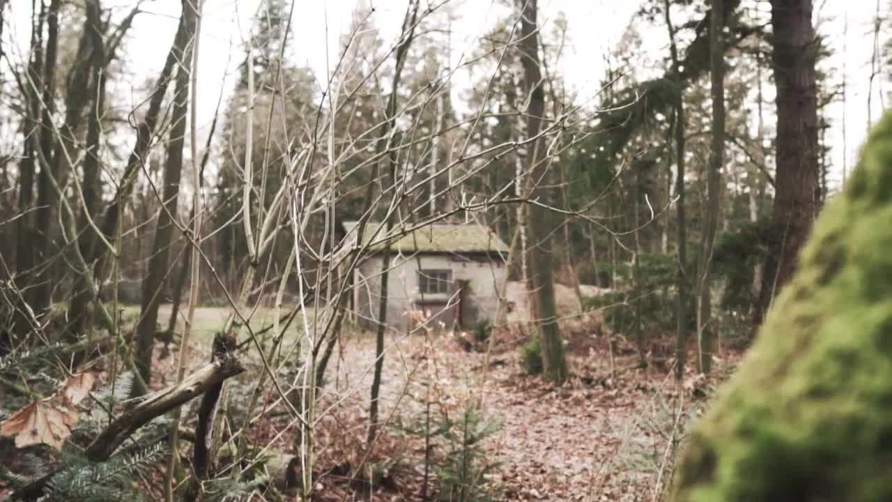 Stock Video Abandoned Shed In A Forest In Autumn Live Wallpaper for PC