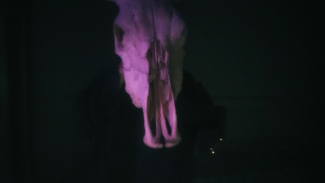 Stock Video Abstract Video Of A Person With A Bull Skull Live Wallpaper for PC