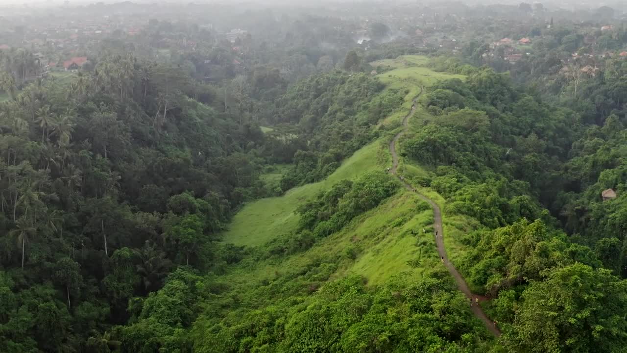 Stock Video Aerial Cinematic View Of Indonesian Jungle Road Live Wallpaper for PC