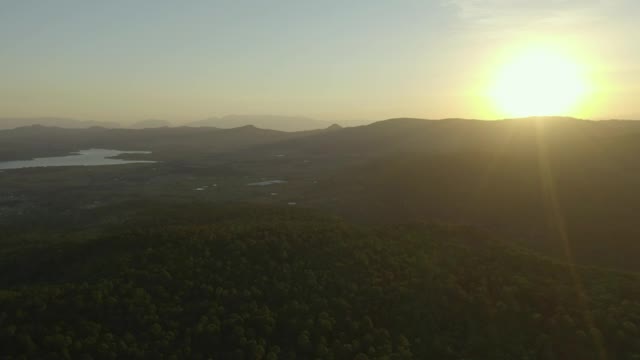 Stock Video Aerial Shot Of A Large Forest Covering The Landscape At Live Wallpaper for PC