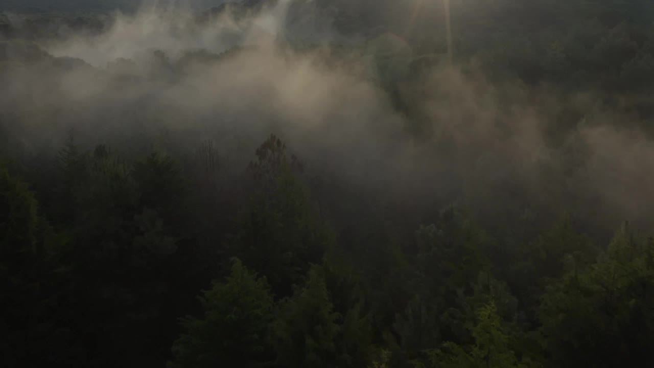 Stock Video Aerial Tour Above A Cloud Forest Live Wallpaper for PC