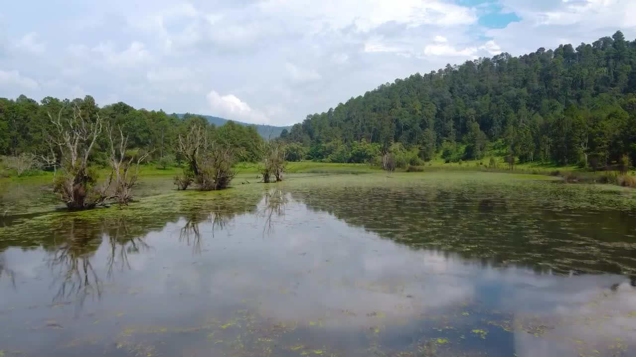 Stock Video Aerial Tour Over A Lake In A Sunny Forest Live Wallpaper for PC