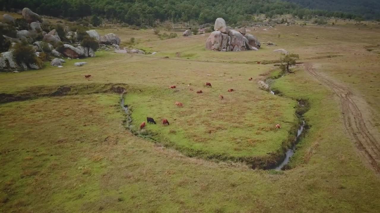 Stock Video Aerial View Of A Green Field With Giant Rocks Live Wallpaper for PC