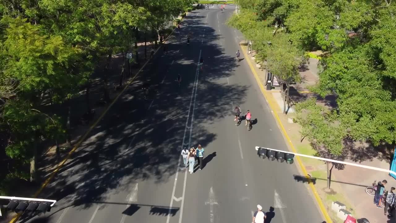 Stock Video Aerial View Of A Path In A Park With Sportsmen Live Wallpaper for PC