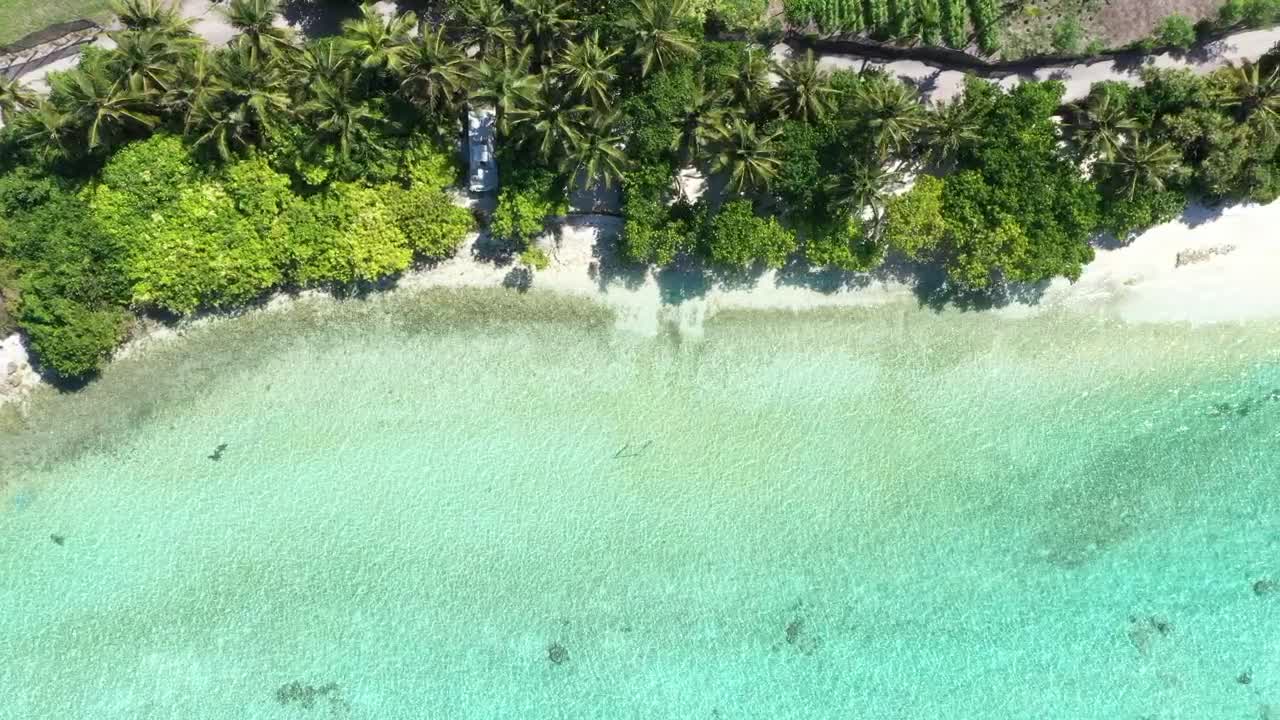 Stock Video Aerial View Of A Tropical Beach With Green Palms Live Wallpaper for PC