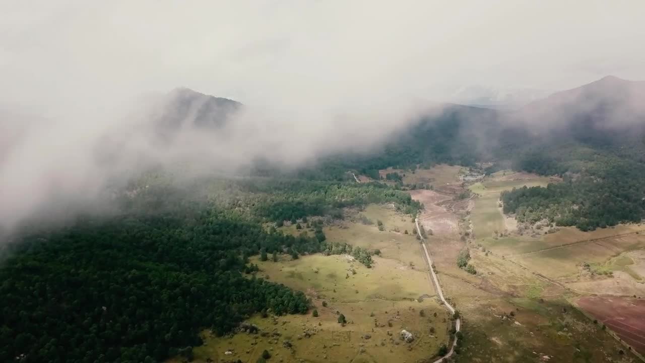 Stock Video Aerial View Of A Wooded Landscape With A Road Live Wallpaper for PC