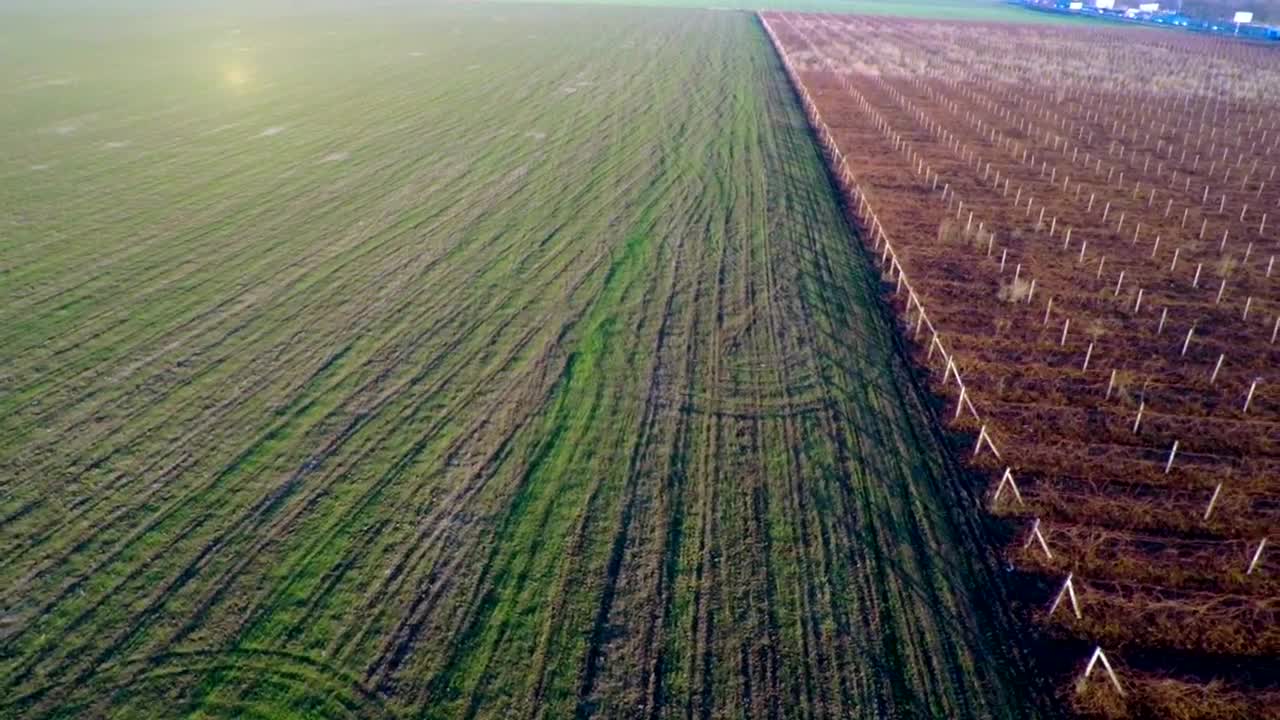 Stock Video Aerial View Of Agricultural Fields Live Wallpaper for PC
