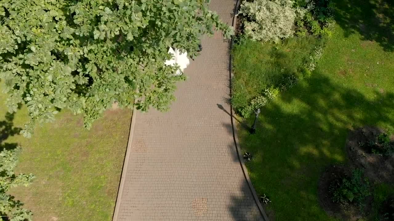Stock Video Aerial View Of Bride And Groom Leaving Wedding Live Wallpaper for PC