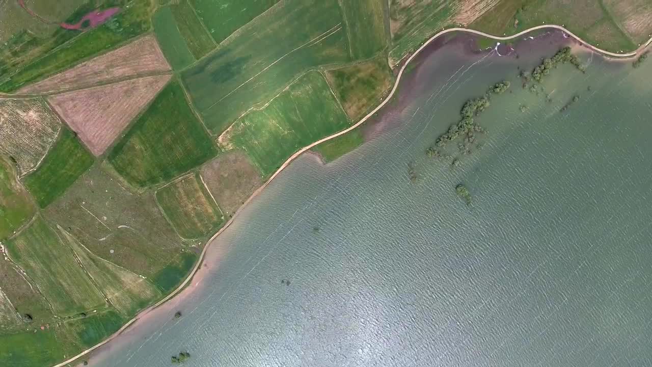 Stock Video Aerial View Of Green Crop Fields By The Lake Live Wallpaper for PC