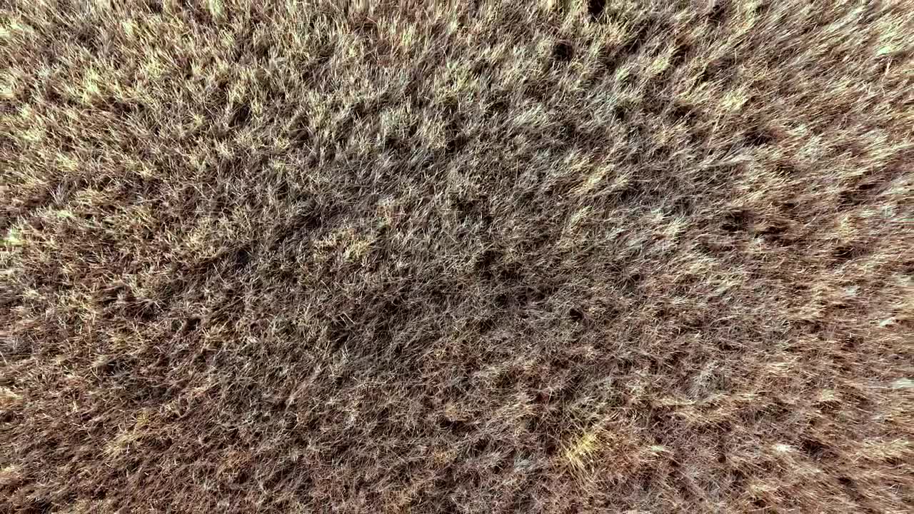 Stock Video Aerial View Of Island Formations Live Wallpaper for PC