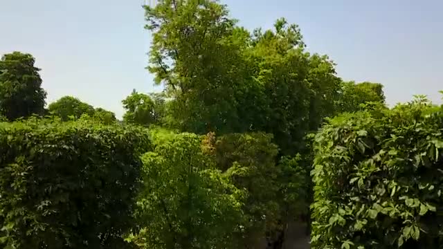 Stock Video Aerial View Of Paris From A Large Garden Live Wallpaper for PC
