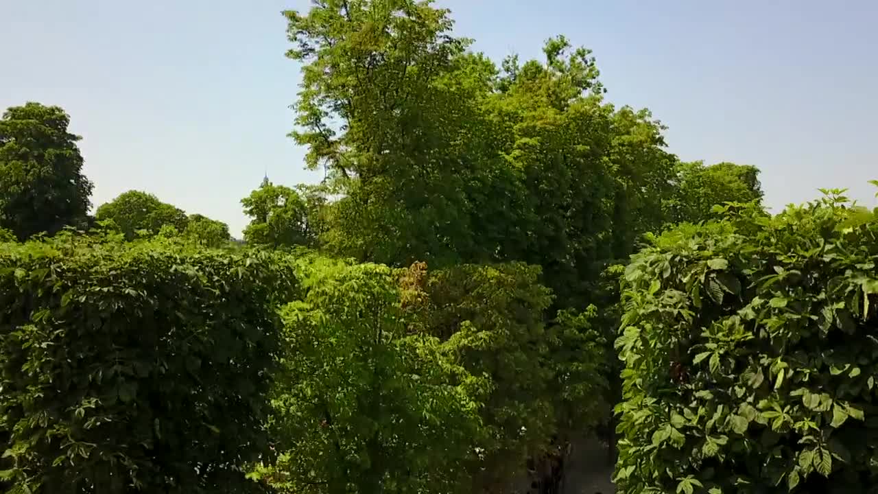 Stock Video Aerial View Of Paris From A Large Garden  Larg Live Wallpaper for PC