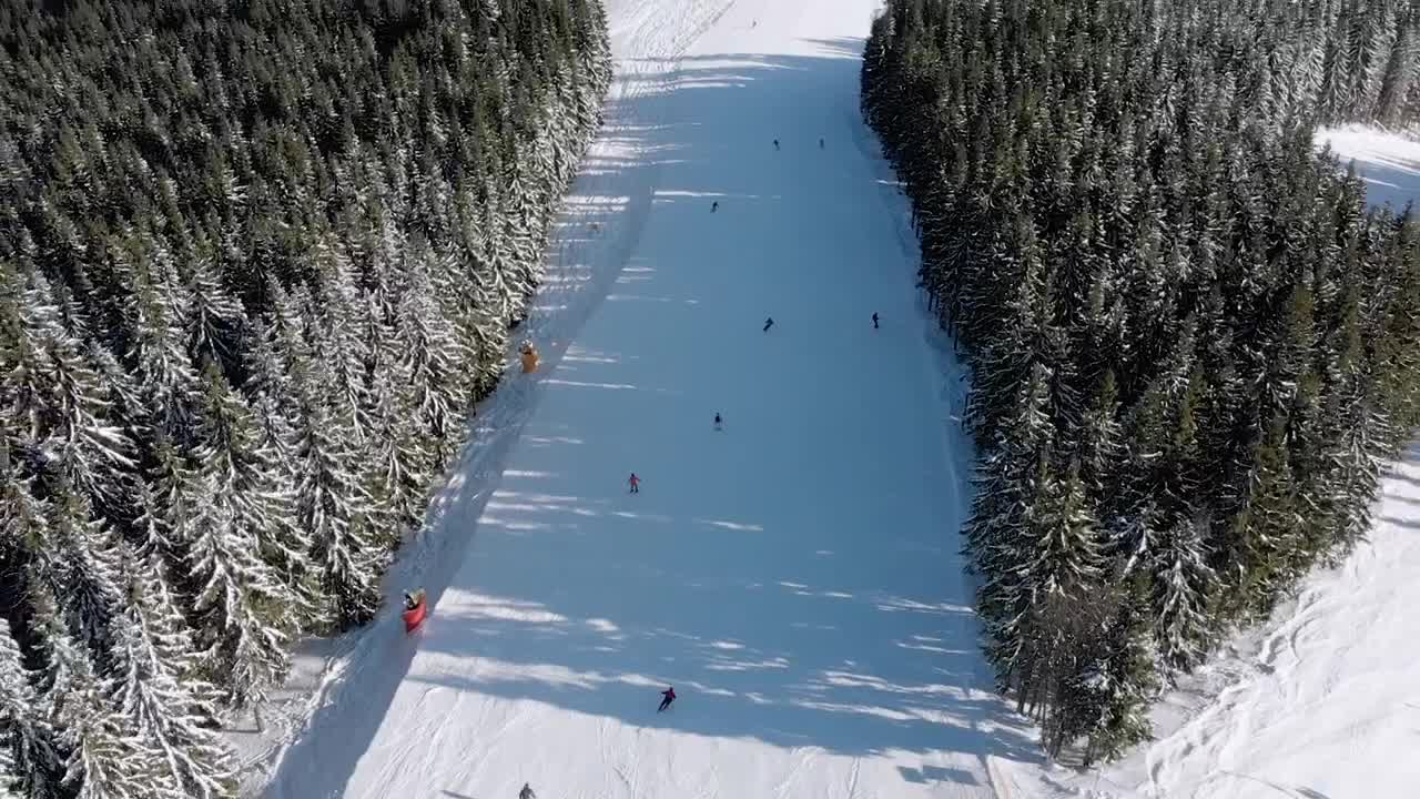 Stock Video Aerial View Of Skiers Going Down The Mountain Live Wallpaper for PC