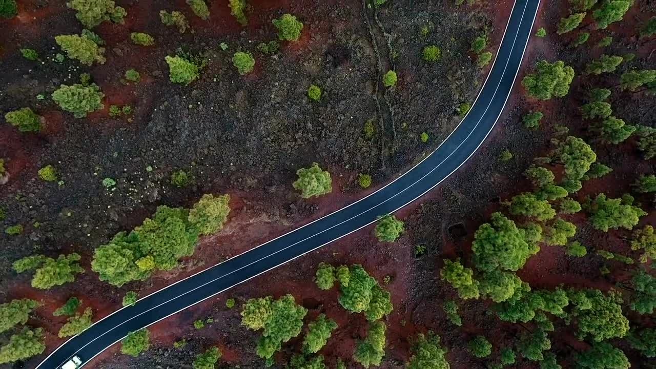 Stock Video Aerial View Of Traffic In A Road Through The Woods Live Wallpaper for PC