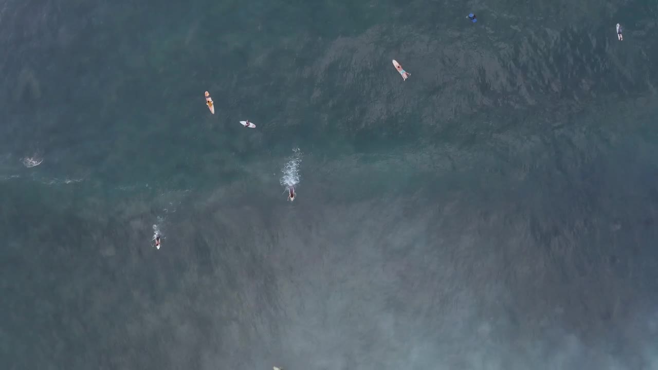 Stock Video Aerial View Of Waves And Surfers Live Wallpaper for PC