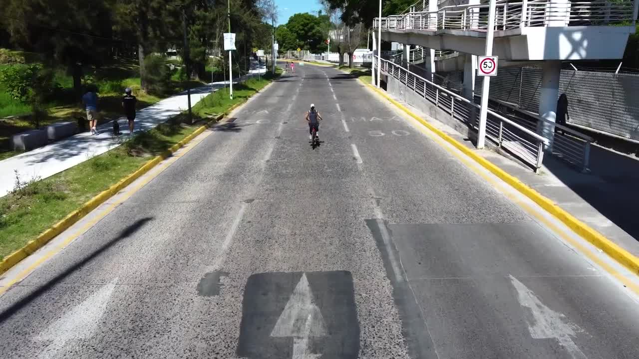 Stock Video Aerial Walk Along A Path In A Sunny Park Live Wallpaper for PC