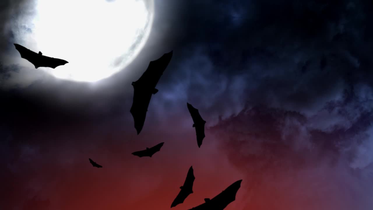 Stock Video Bats On Halloween Live Wallpaper For PC