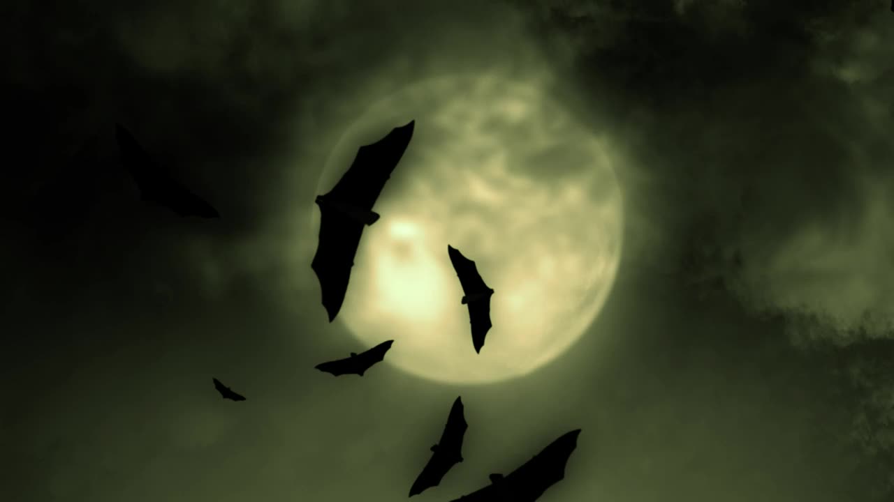 Stock Video Bats And The Full Moon On Halloween Live Wallpaper For PC