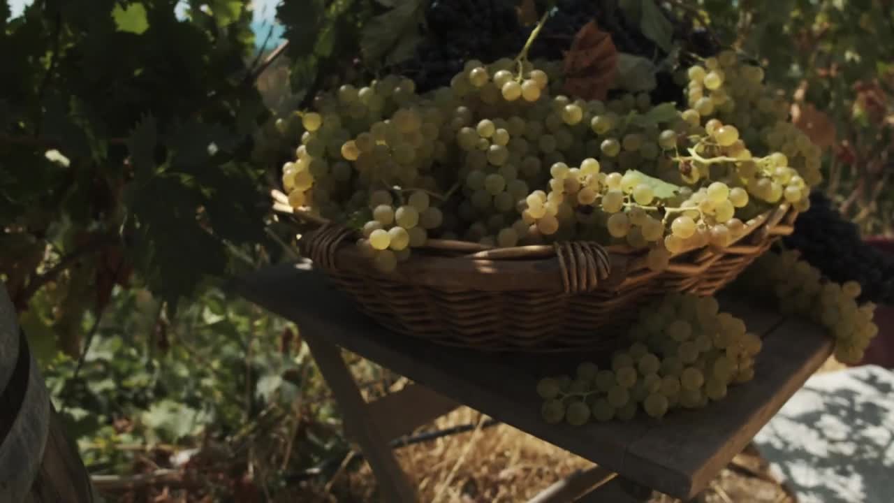 Stock Video Basket Full Of Fresh Grapes Live Wallpaper For PC