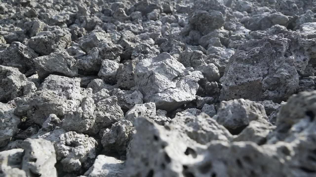 Stock Video Basalt Rocks In The Ground Live Wallpaper For PC