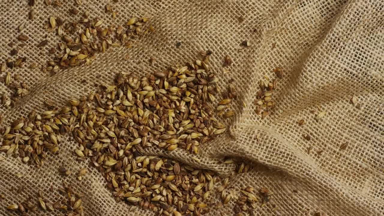 Stock Video Barley Grains On A Natural Fabric Live Wallpaper For PC