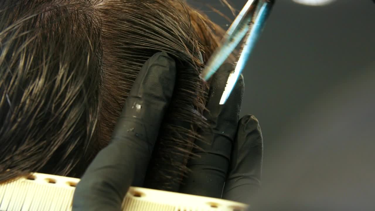 Stock Video Barber Cutting Clients Wet Hair With Scissors Live Wallpaper For PC