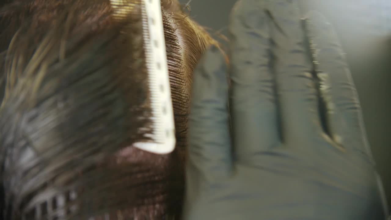 Stock Video Barber Brushing Clients Hair Live Wallpaper For PC