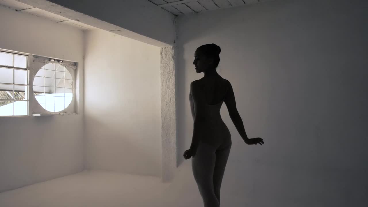 Stock Video Ballerina In Silhouette Turning Live Wallpaper For PC